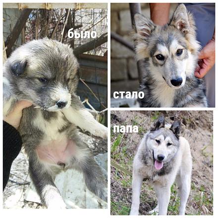 Нажмите на изображение для увеличения
Название: MyCollages (3).jpg
Просмотры: 1434
Размер: 91.5 Кб
ID: 21799