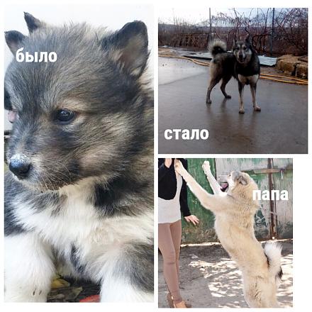 Нажмите на изображение для увеличения
Название: MyCollages (4).jpg
Просмотры: 1369
Размер: 88.7 Кб
ID: 21800