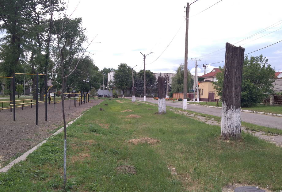 Название: 4 Парк Кирова стволы спиленных деревьев.jpg
Просмотры: 1465
Размер: 130.2 Кб