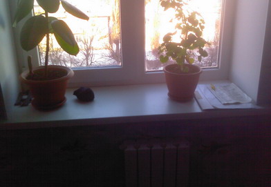 Название: Детская стеклопакет.jpg
Просмотры: 2158
Размер: 30.9 Кб