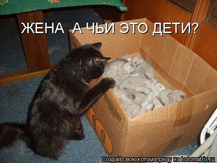 Нажмите на изображение для увеличения
Название: 1090648.jpg
Просмотры: 712
Размер: 75.8 Кб
ID: 8375