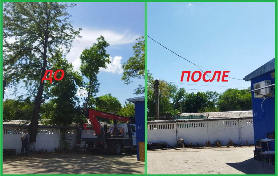 Название: Красные казармы - спил деревьев.jpg
Просмотры: 2453
Размер: 208.1 Кб