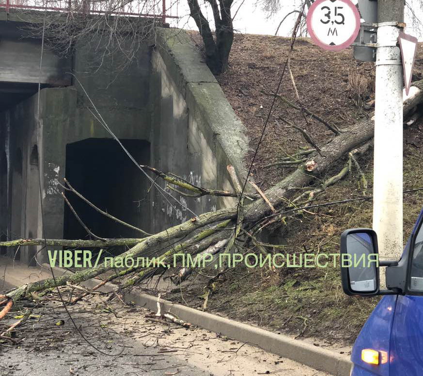 Название: паблик Тирасполь - упало дерево.jpg
Просмотры: 555
Размер: 255.8 Кб