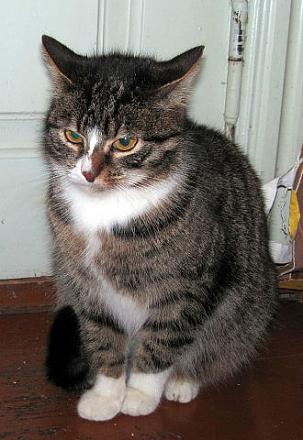 Нажмите на изображение для увеличения
Название: getImage (8).jpg
Просмотры: 1056
Размер: 38.9 Кб
ID: 11285