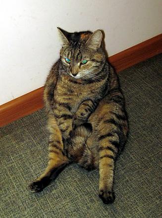 Нажмите на изображение для увеличения
Название: getImage (9).jpg
Просмотры: 1029
Размер: 51.1 Кб
ID: 11286