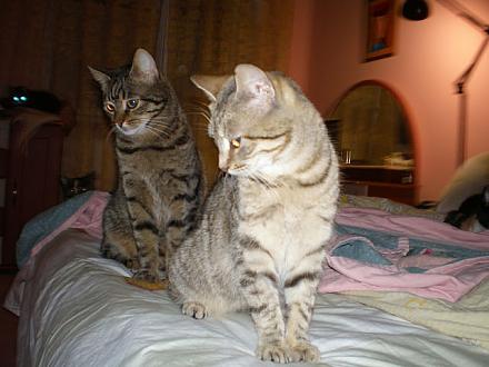 Нажмите на изображение для увеличения
Название: getImage (11).jpg
Просмотры: 1185
Размер: 57.0 Кб
ID: 11288