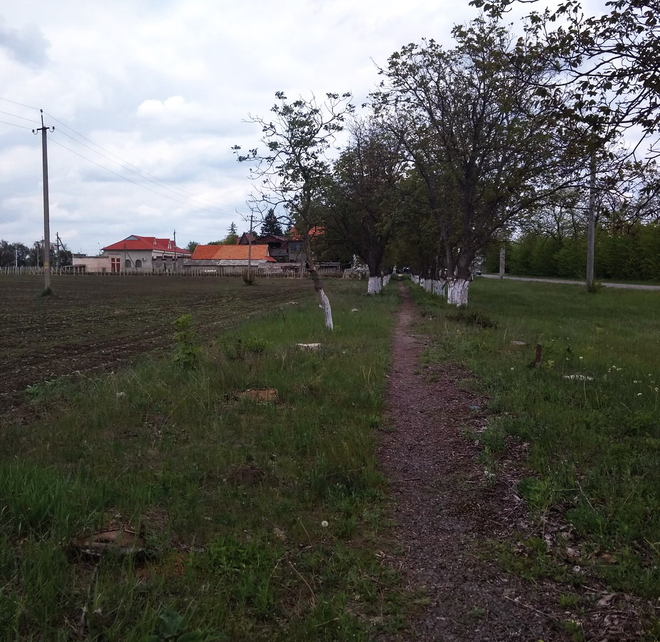 Название: Дорога Фоишор-Терновка.jpg
Просмотры: 1167
Размер: 310.6 Кб