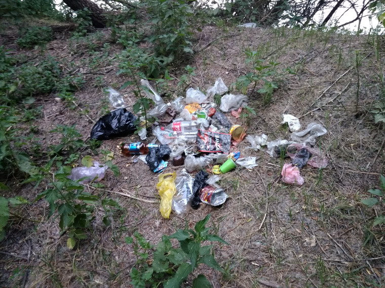 Название: Мусор у НИИ у Днестра.jpg
Просмотры: 977
Размер: 233.9 Кб