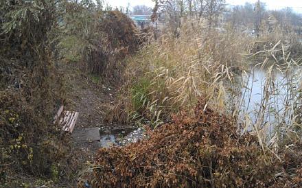 Нажмите на изображение для увеличения
Название: Романтическое место для свиданий.jpg
Просмотры: 510
Размер: 99.8 Кб
ID: 14919