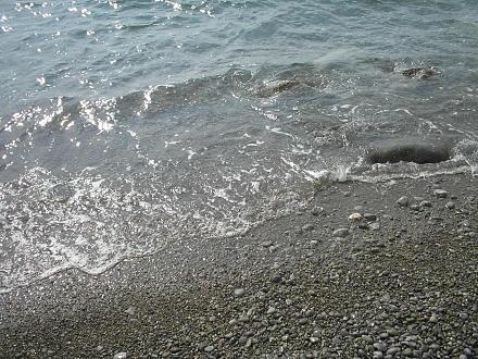 Нажмите на изображение для увеличения
Название: Крым октябрь2011 262.jpg
Просмотры: 636
Размер: 404.2 Кб
ID: 7079