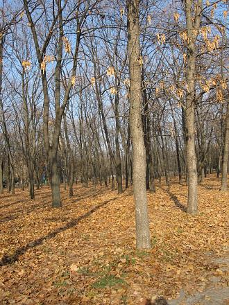 Нажмите на изображение для увеличения
Название: IMG_4048.JPG
Просмотры: 487
Размер: 578.8 Кб
ID: 7525