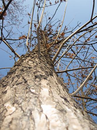 Нажмите на изображение для увеличения
Название: IMG_4050.JPG
Просмотры: 464
Размер: 306.9 Кб
ID: 7527