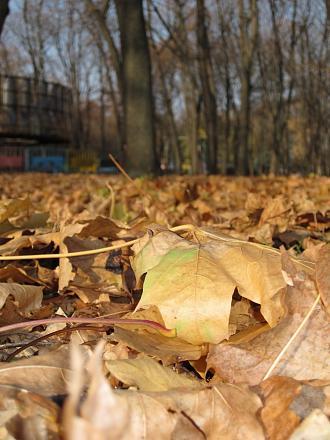 Нажмите на изображение для увеличения
Название: IMG_4052.JPG
Просмотры: 571
Размер: 218.0 Кб
ID: 7528