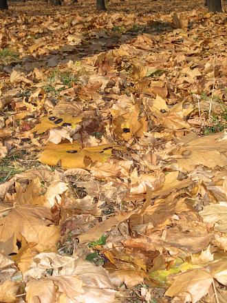 Нажмите на изображение для увеличения
Название: IMG_4053.JPG
Просмотры: 618
Размер: 396.6 Кб
ID: 7529