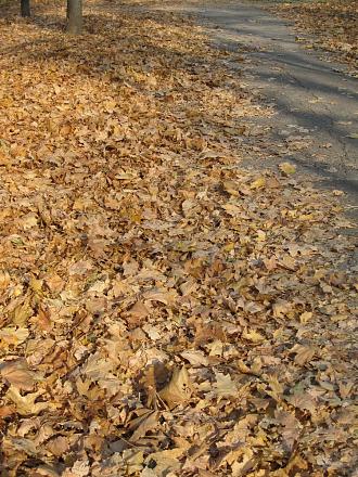 Нажмите на изображение для увеличения
Название: IMG_4057.JPG
Просмотры: 444
Размер: 489.2 Кб
ID: 7530