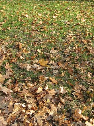 Нажмите на изображение для увеличения
Название: IMG_4059.JPG
Просмотры: 581
Размер: 571.5 Кб
ID: 7531