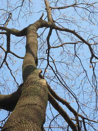 Нажмите на изображение для увеличения
Название: IMG_4061.JPG
Просмотры: 574
Размер: 396.5 Кб
ID: 7532