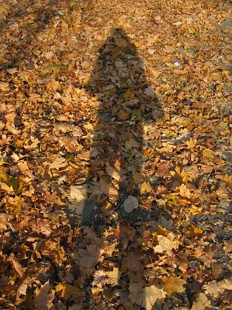 Нажмите на изображение для увеличения
Название: IMG_4068.JPG
Просмотры: 578
Размер: 493.2 Кб
ID: 7534