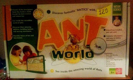     
: Ant World.jpg
: 396
:	72.7 
ID:	18277