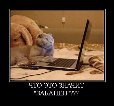 Нажмите на изображение для увеличения
Название: 1267885686_zaapo8hk9f56od7.jpeg
Просмотры: 594
Размер: 43.2 Кб
ID: 7849