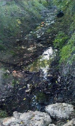 Нажмите на изображение для увеличения
Название: Родник у Чобруч - 3 июня (стало).jpg
Просмотры: 904
Размер: 116.2 Кб
ID: 22207