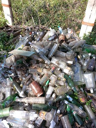 Нажмите на изображение для увеличения
Название: Собранные пустые стеклянные бутылки.jpg
Просмотры: 401
Размер: 192.5 Кб
ID: 21370