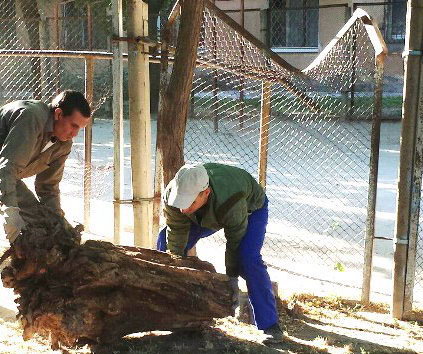 Название: Красные казармы - детям.jpg
Просмотры: 2381
Размер: 63.2 Кб