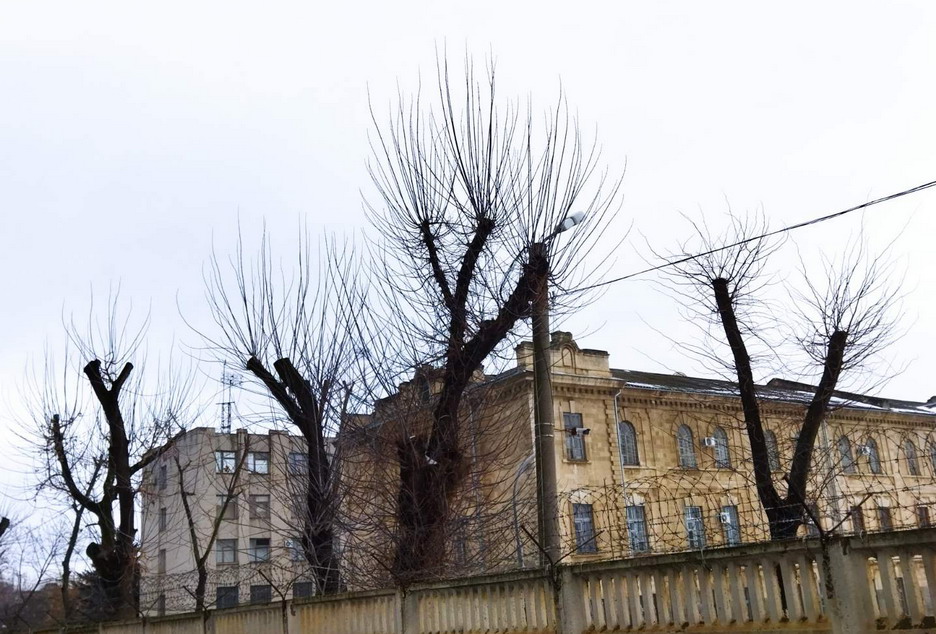 Название: Миротворческая часть - деревья.jpg
Просмотры: 943
Размер: 187.9 Кб