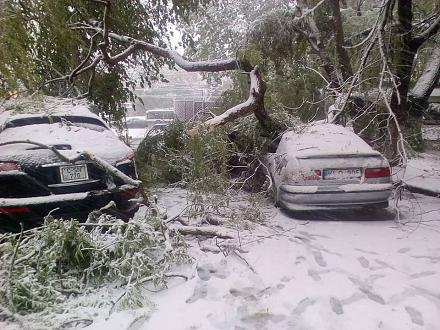 Нажмите на изображение для увеличения
Название: Ветки на машинах - Тирасполь.jpg
Просмотры: 529
Размер: 130.1 Кб
ID: 21543