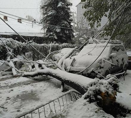 Нажмите на изображение для увеличения
Название: Деревья лежат на дороге - Тирасполь.jpg
Просмотры: 595
Размер: 160.5 Кб
ID: 21544