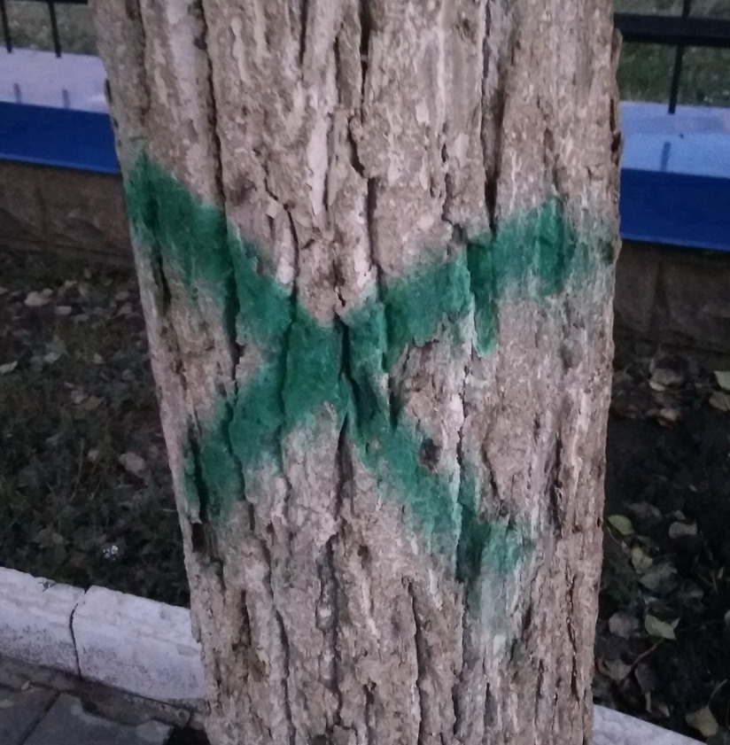 Название: Зеленый крест на дереве.jpg
Просмотры: 1328

Размер: 185.2 Кб