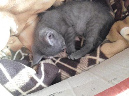 Нажмите на изображение для увеличения
Название: IMG_20120630_192909.jpg
Просмотры: 1248
Размер: 55.7 Кб
ID: 9758