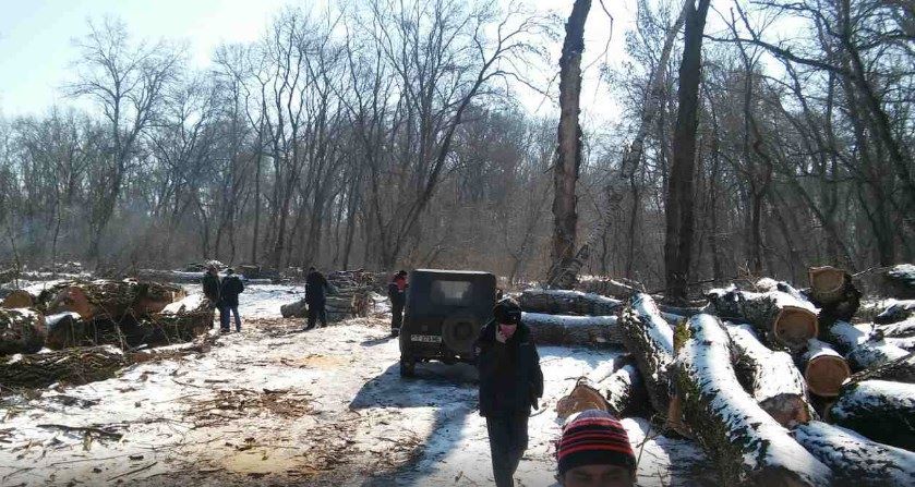 Название: Деревья в Терновке - вырубка.jpg
Просмотры: 3509
Размер: 111.6 Кб