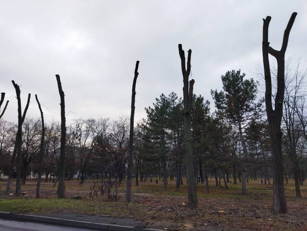 Название: 4 обрезка деревьев в Парке Победы по ул. Царева.jpg
Просмотры: 197

Размер: 202.0 Кб